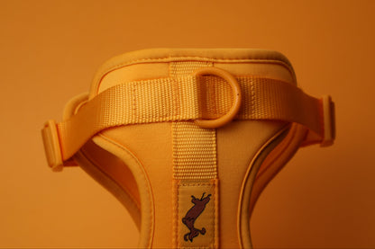 "Butter" Harness