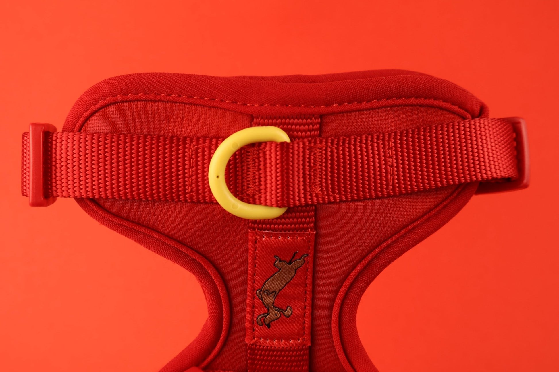 "Berry Rad" Dog Harness. Red Dog Harness with Yellow Detailing, Perfect for as a Small Dog Harness and a Big Dog Harness.