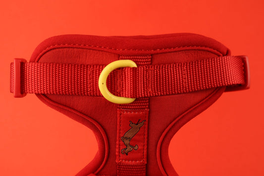 "Berry Rad" Dog Harness. Red Dog Harness with Yellow Detailing, Perfect for as a Small Dog Harness and a Big Dog Harness.