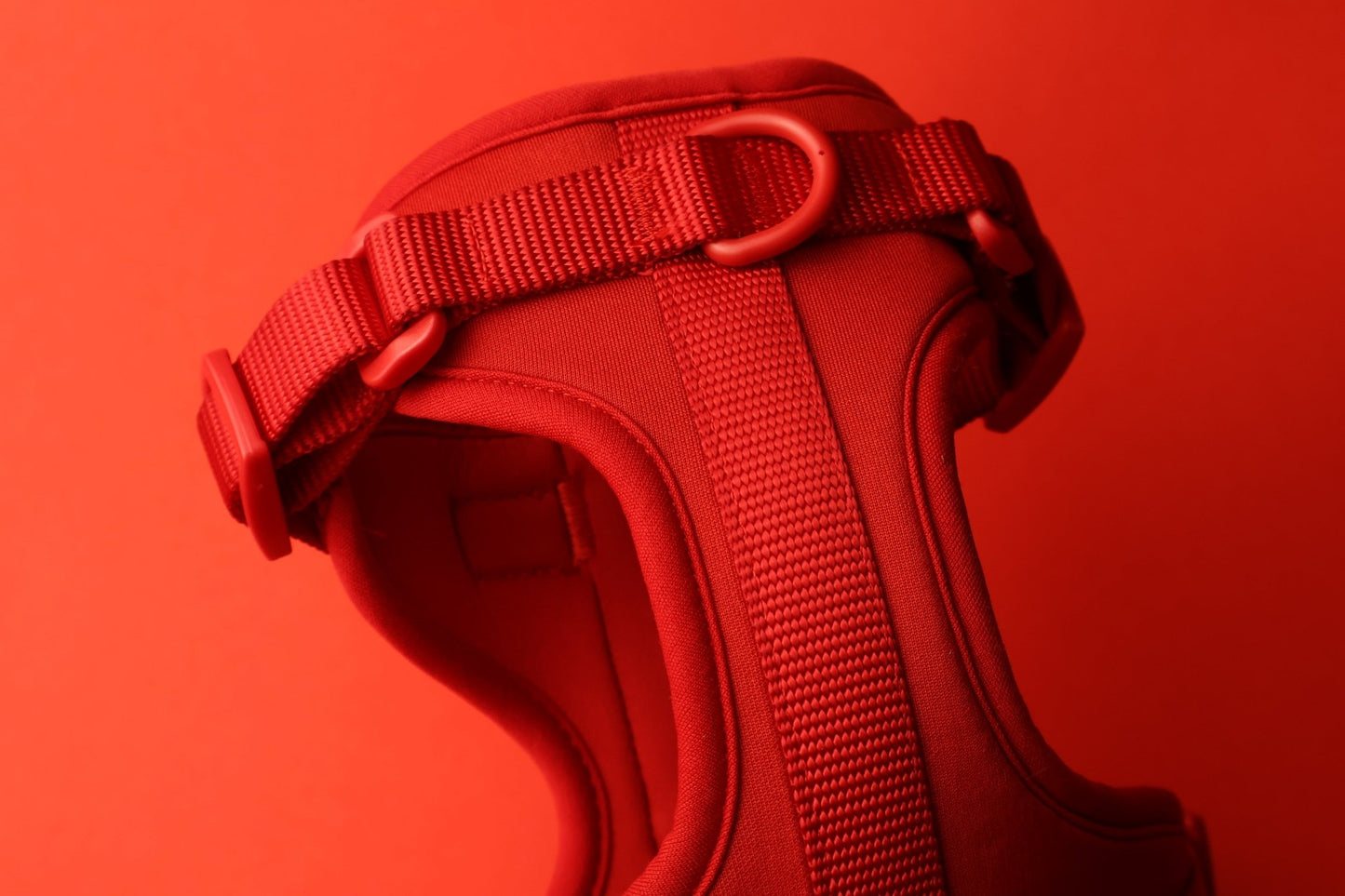 "Berry Rad" Dog Harness. Red Dog Harness with Yellow Detailing, Perfect for as a Small Dog Harness and a Big Dog Harness.