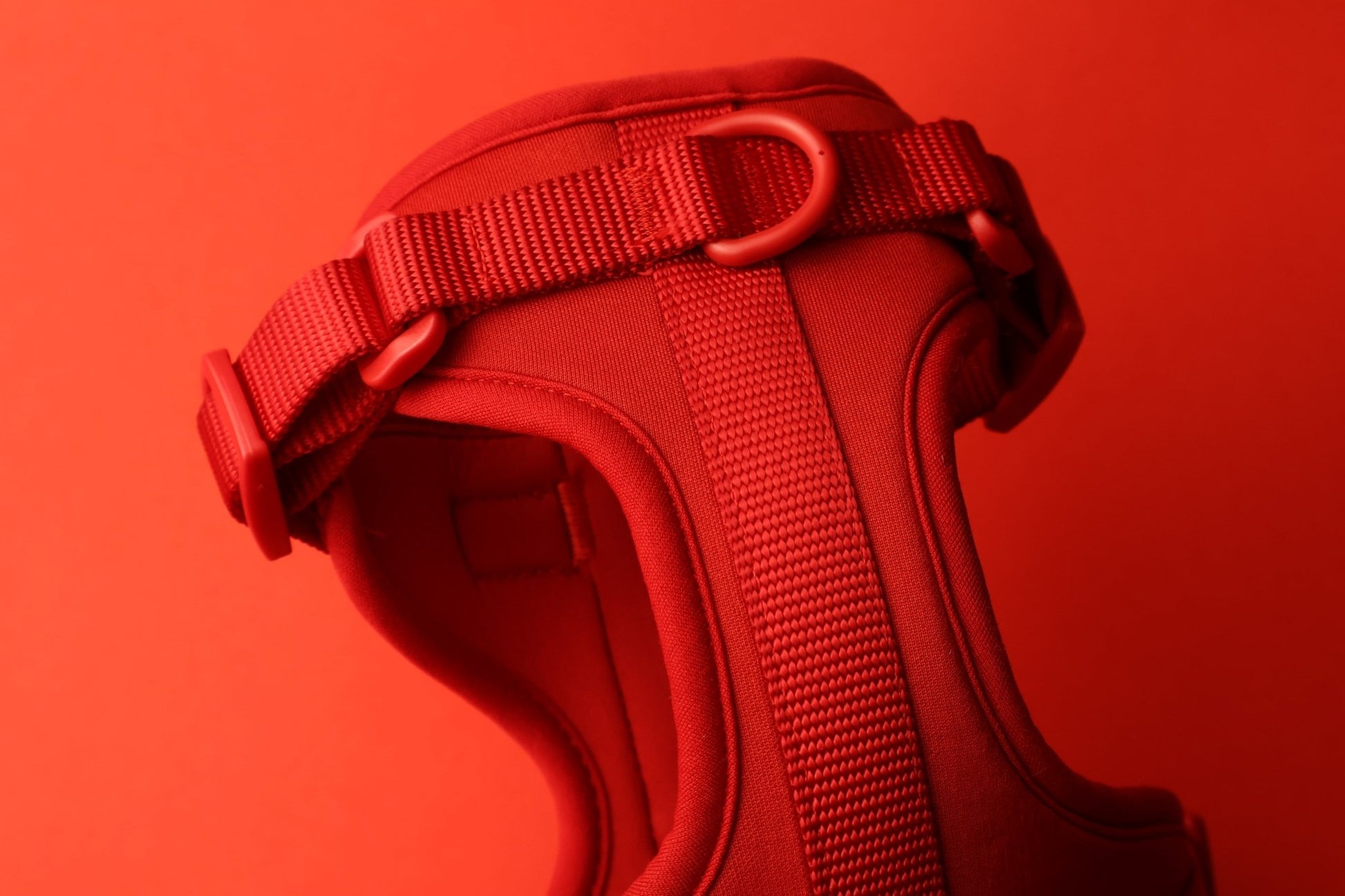 "Berry Rad" Dog Harness. Red Dog Harness with Yellow Detailing, Perfect for as a Small Dog Harness and a Big Dog Harness.
