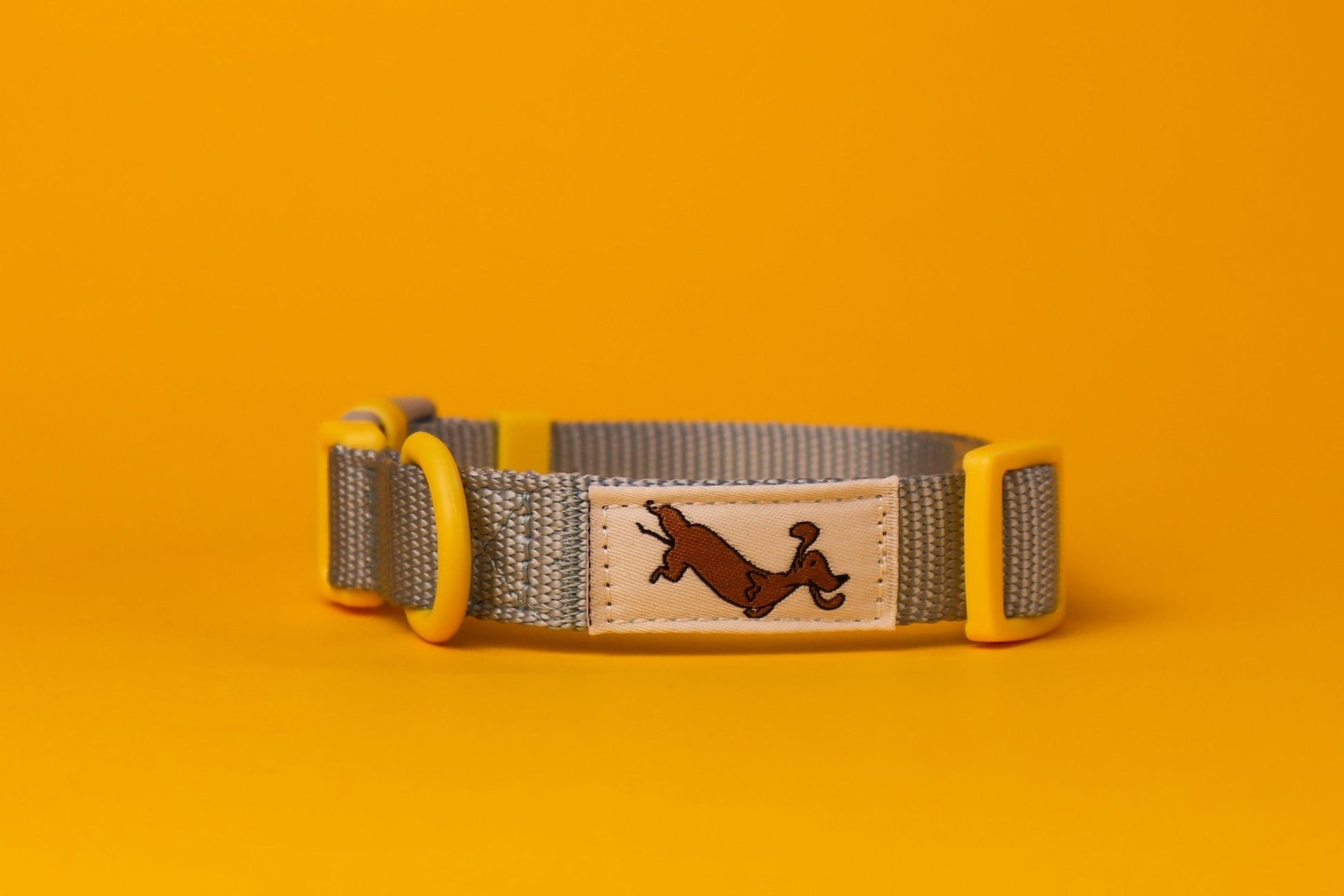 "Bloo" Dog Collar - The Good Boy Store. Baby Blue Dog Collar with Yellow Detailing. Adjustable with Quick Release Buckles.