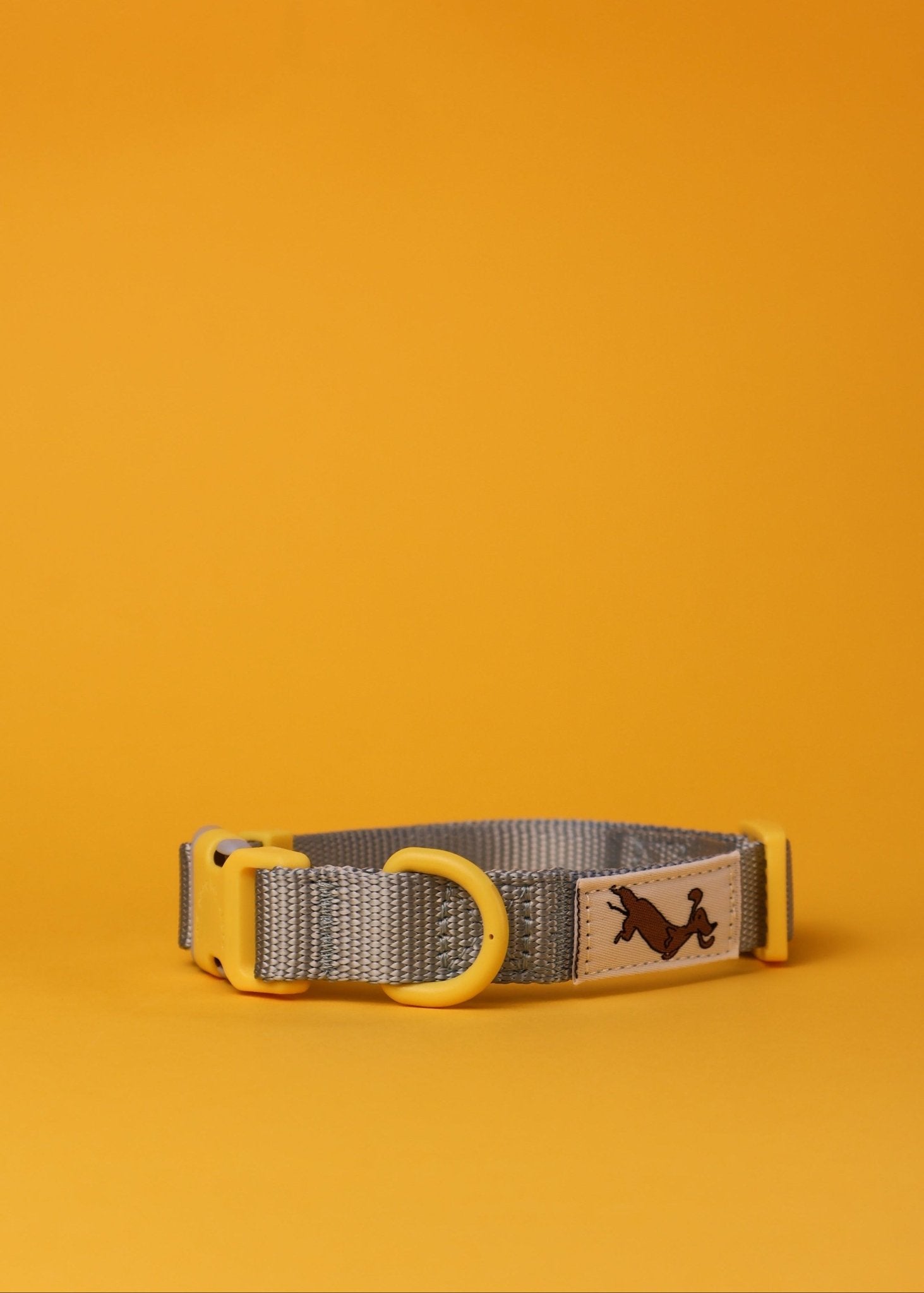 "Bloo" Dog Collar - The Good Boy Store. Baby Blue Dog Collar with Yellow Detailing. Adjustable with Quick Release Buckles.