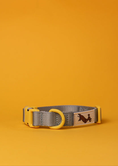 "Bloo" Dog Collar - The Good Boy Store. Baby Blue Dog Collar with Yellow Detailing. Adjustable with Quick Release Buckles.