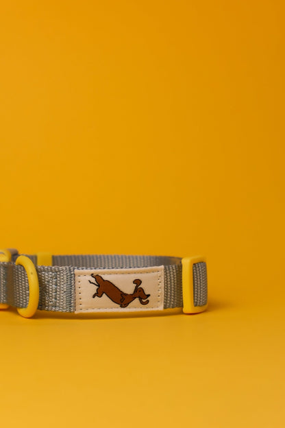 "Bloo" Dog Collar - The Good Boy Store. Baby Blue Dog Collar with Yellow Detailing. Adjustable with Quick Release Buckles.