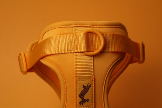 "Butter" Dog Harness - The Good Boy Store. Mustard Yellow Dog Harness with Comfort Padding and Adjustable Buckles.