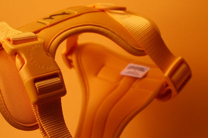 "Butter" Dog Harness - The Good Boy Store. Mustard Yellow Dog Harness with Comfort Padding and Adjustable Buckles.