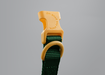 "Cacti" Dog Collar - The Good Boy Store. Deep Green Dog Collar with Yellow Detailing featuring high strength materials.