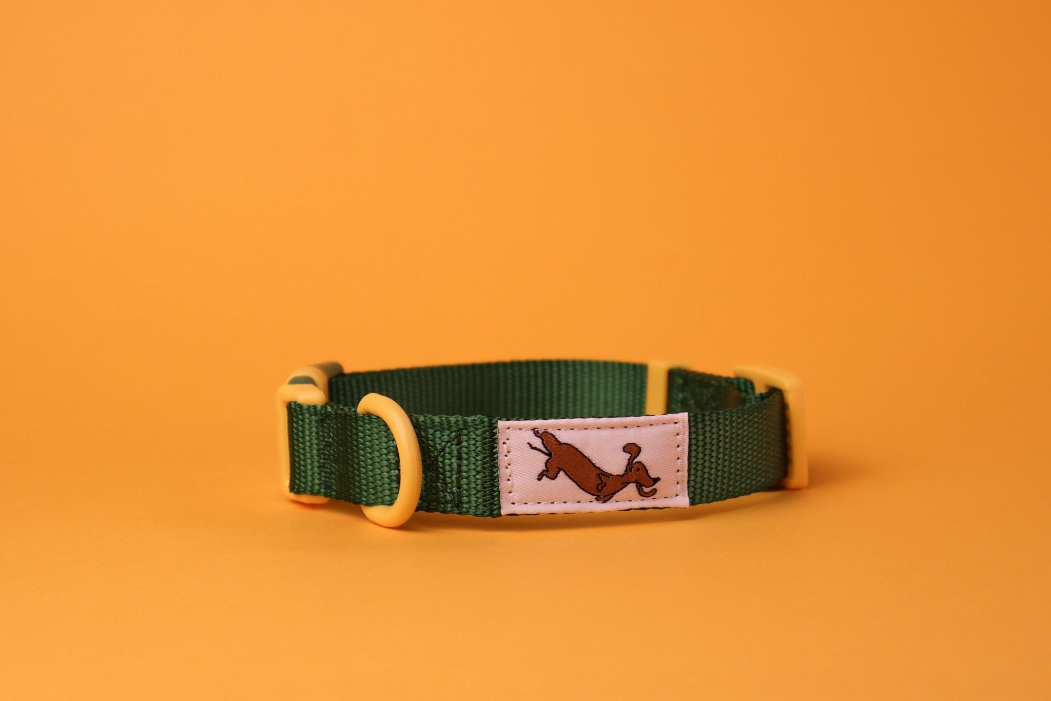 "Cacti" Dog Collar - The Good Boy Store. Deep Green Dog Collar with Yellow Detailing featuring high strength materials.