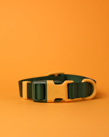 "Cacti" Dog Collar - The Good Boy Store. Deep Green Dog Collar with Yellow Detailing featuring high strength materials.