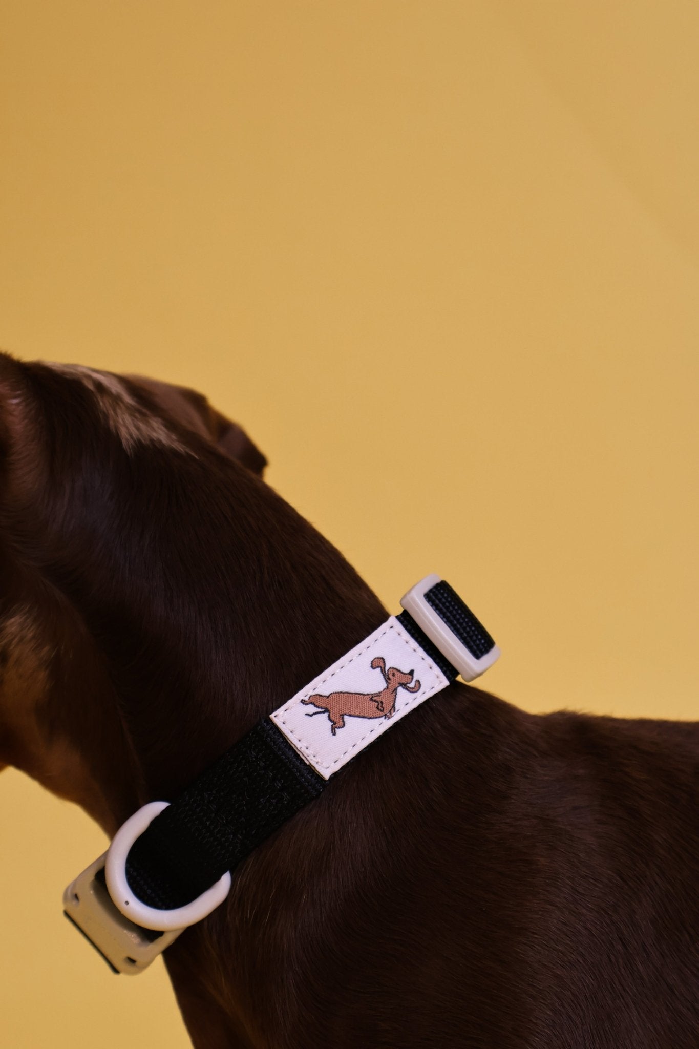 "Liquorice" Dog Collar - The Good Boy Store. Black Dog Collar with Grey Detailing. Sturdy, adjustable and Quick Release.