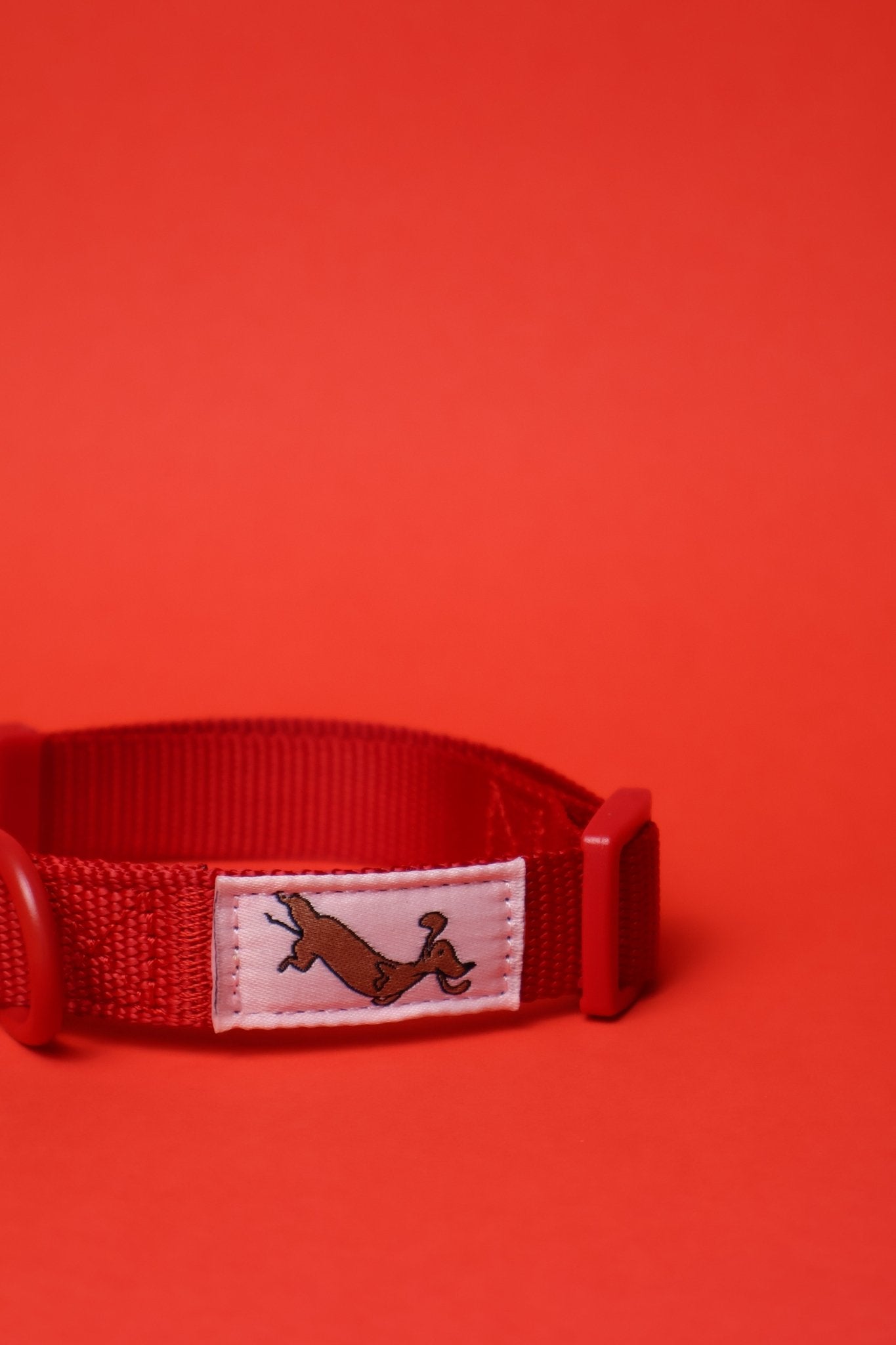 "Ruby" Dog Collar - The Good Boy Store. Classic Red Dog Collar: Adjustable with Quick Release Buckles.