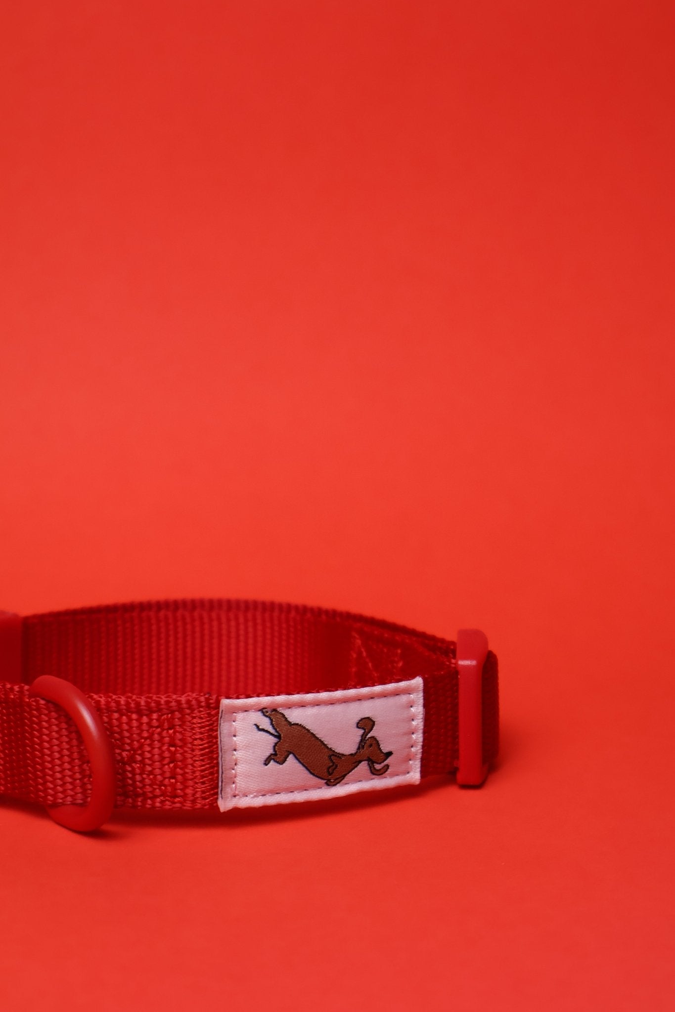 "Ruby" Dog Collar - The Good Boy Store. Classic Red Dog Collar: Adjustable with Quick Release Buckles.